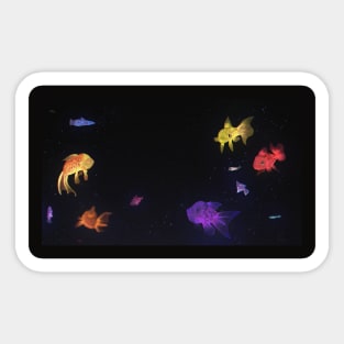 Aquarium Sticker